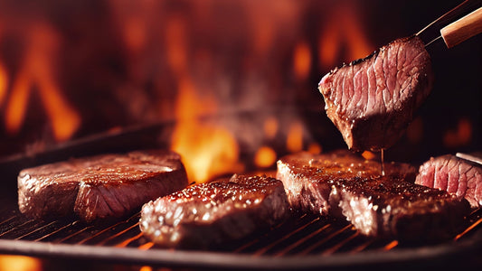 An Introduction to the Carnivore Diet